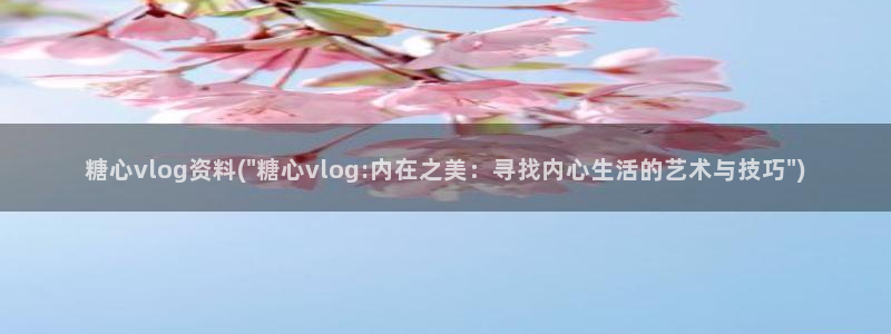 旧版糖心vlog