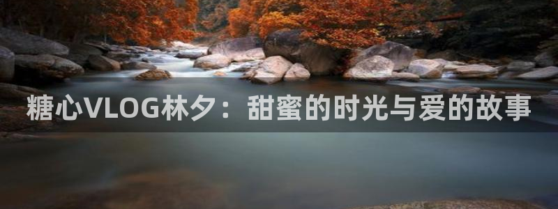 糖心vlog知名艺人