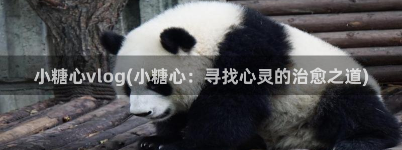 糖心vlog视频提取