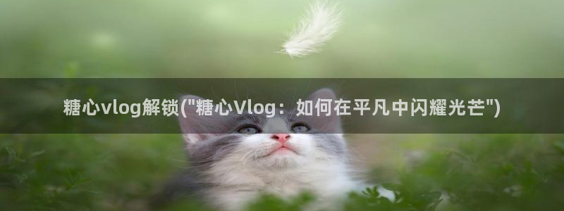 糖心vlog官方地址