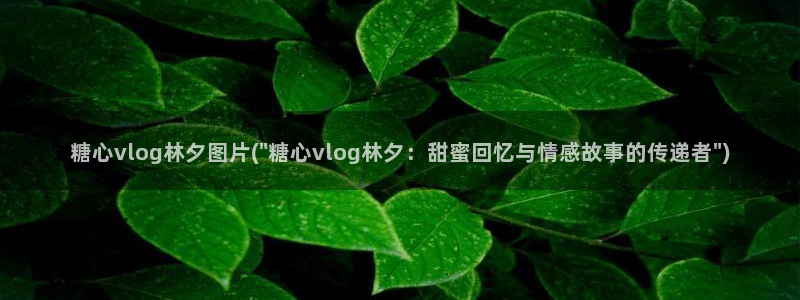 糖心vlog全部