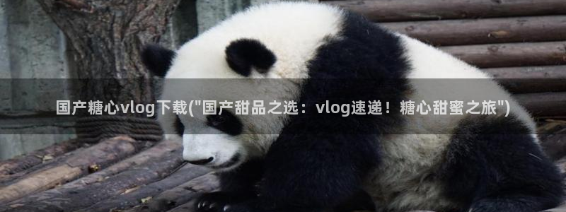 老糖心vlog