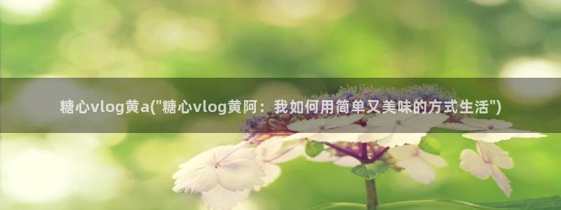 糖心vlog可爱兔视频