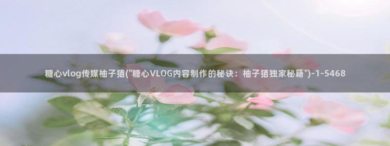 糖心vlog每日免费
