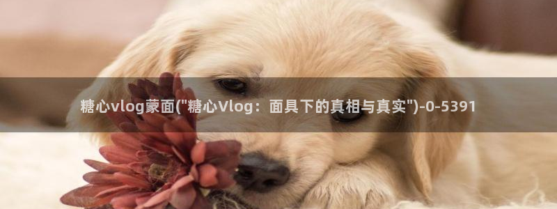 深夜糖心vlog