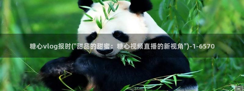 糖心vlog免费账号