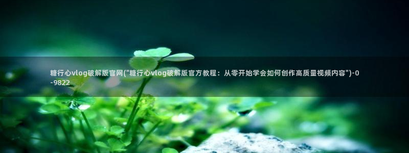 糖心vlogvlog