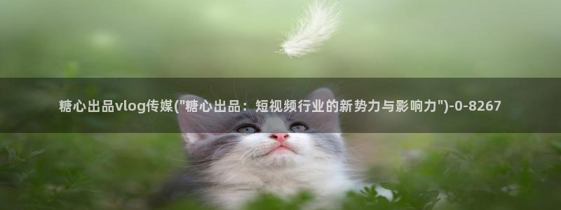糖心vlog全部作品
