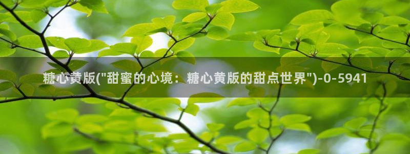糖心vlog酥酥