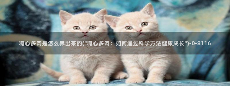 糖心vlog产精国品入口