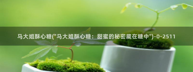 心糖vlog