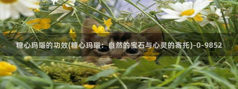 糖心小视频