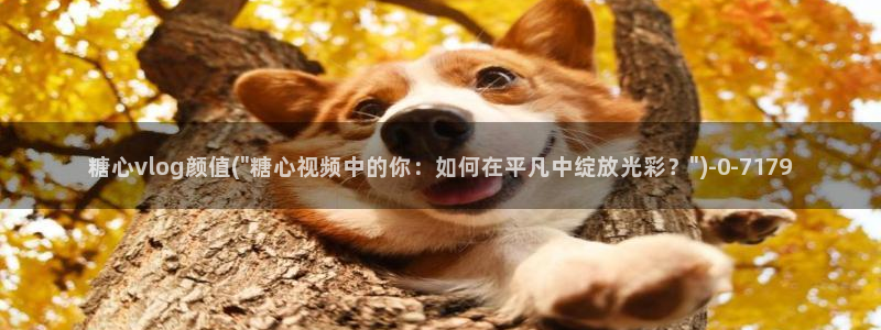 国产糖心vlog在线