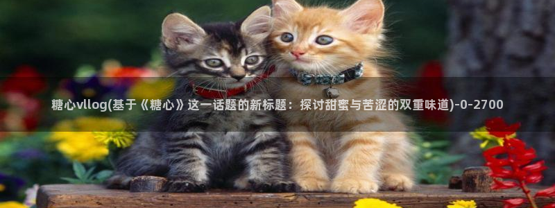 糖心vlog小桃视频