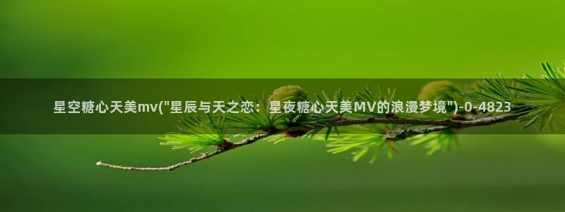 糖心vlog破译