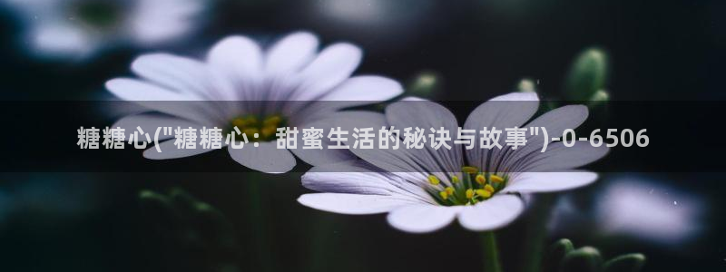 糖心vlog原创