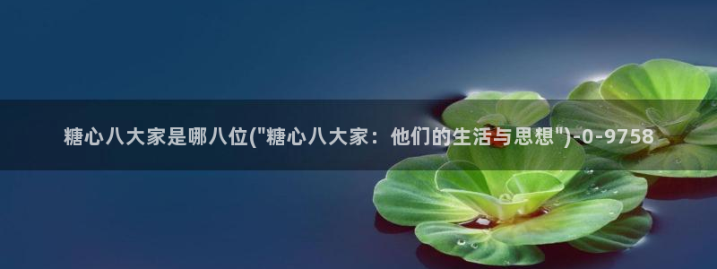 糖心vlog入口免费