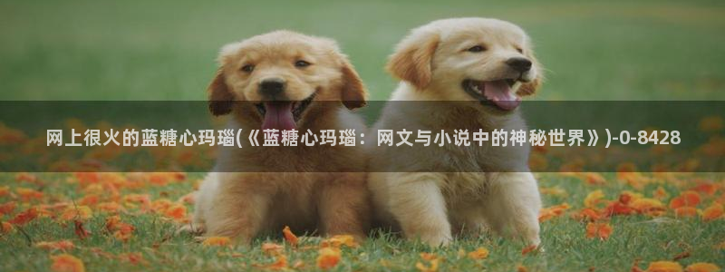糖心vlog工作室