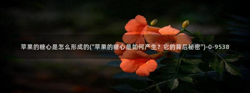 心糖vlog免费版在线观看免费