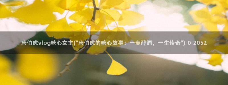 vlog糖心